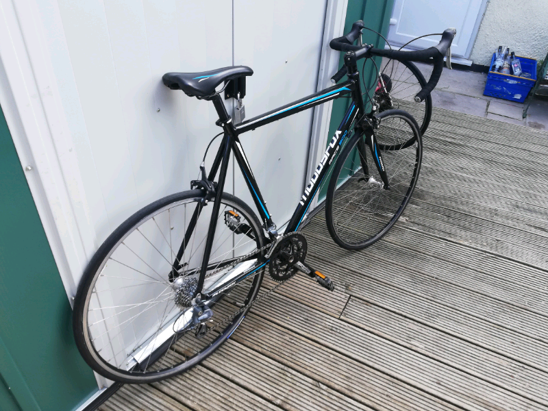 muddyfox race 200 road bike